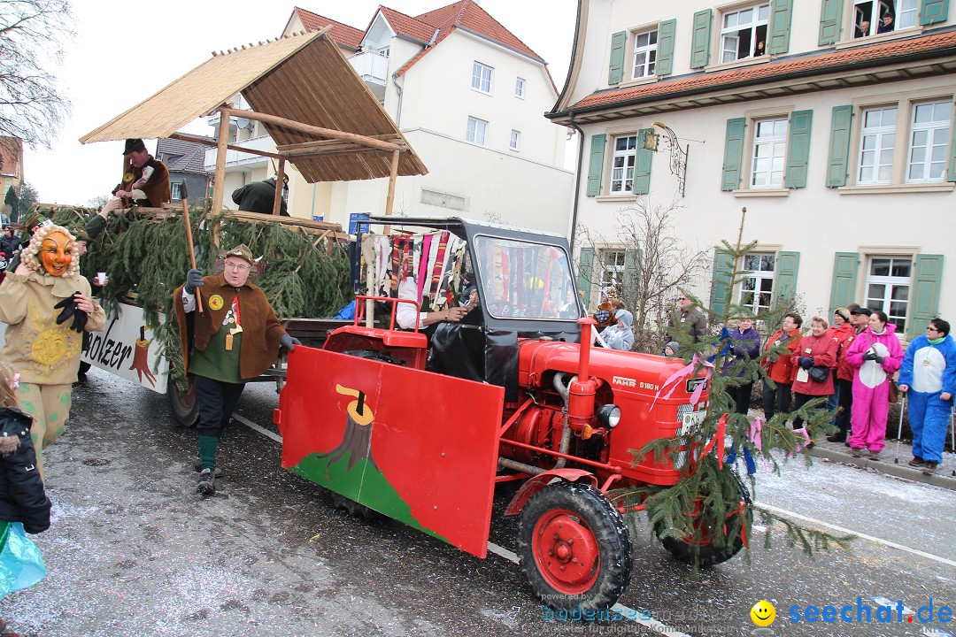 Rosenmontagsumzug: Gottmadingen am Bodensee, 11.02.2013