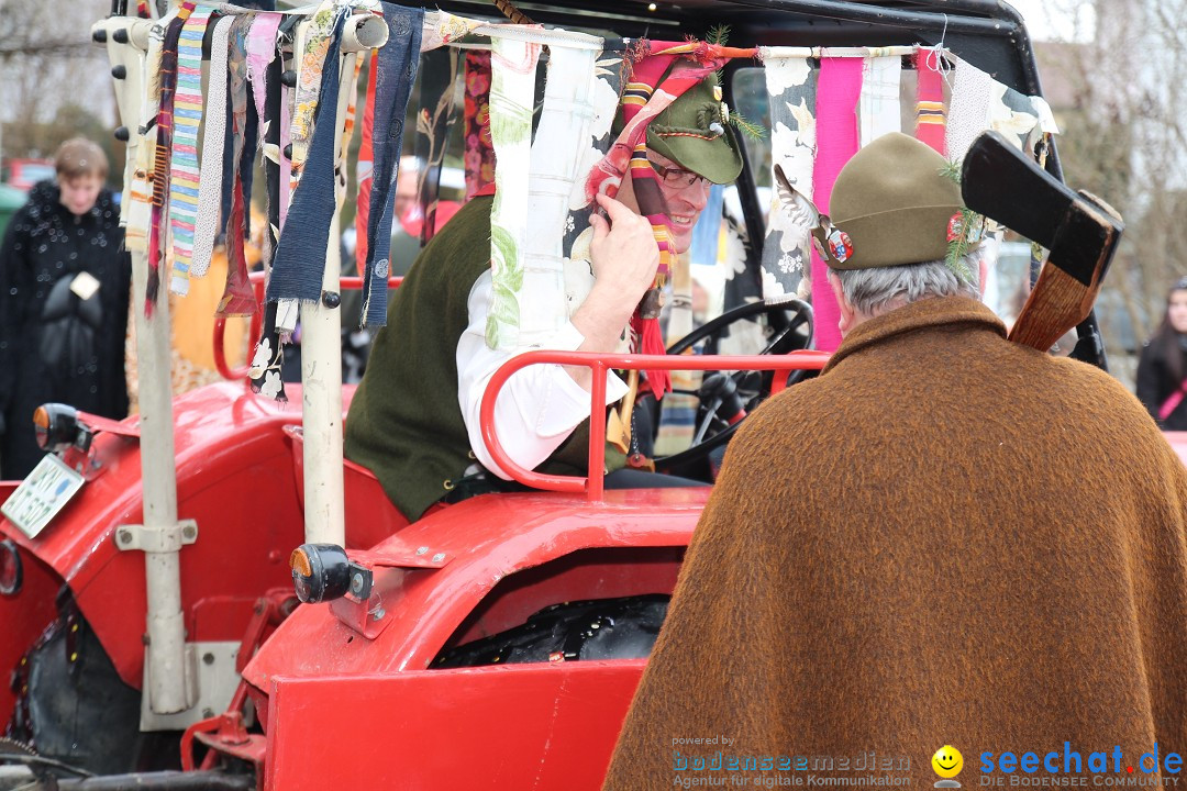 Rosenmontagsumzug: Gottmadingen am Bodensee, 11.02.2013