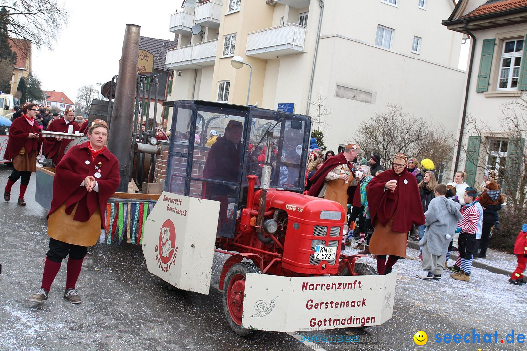 Rosenmontagsumzug: Gottmadingen am Bodensee, 11.02.2013