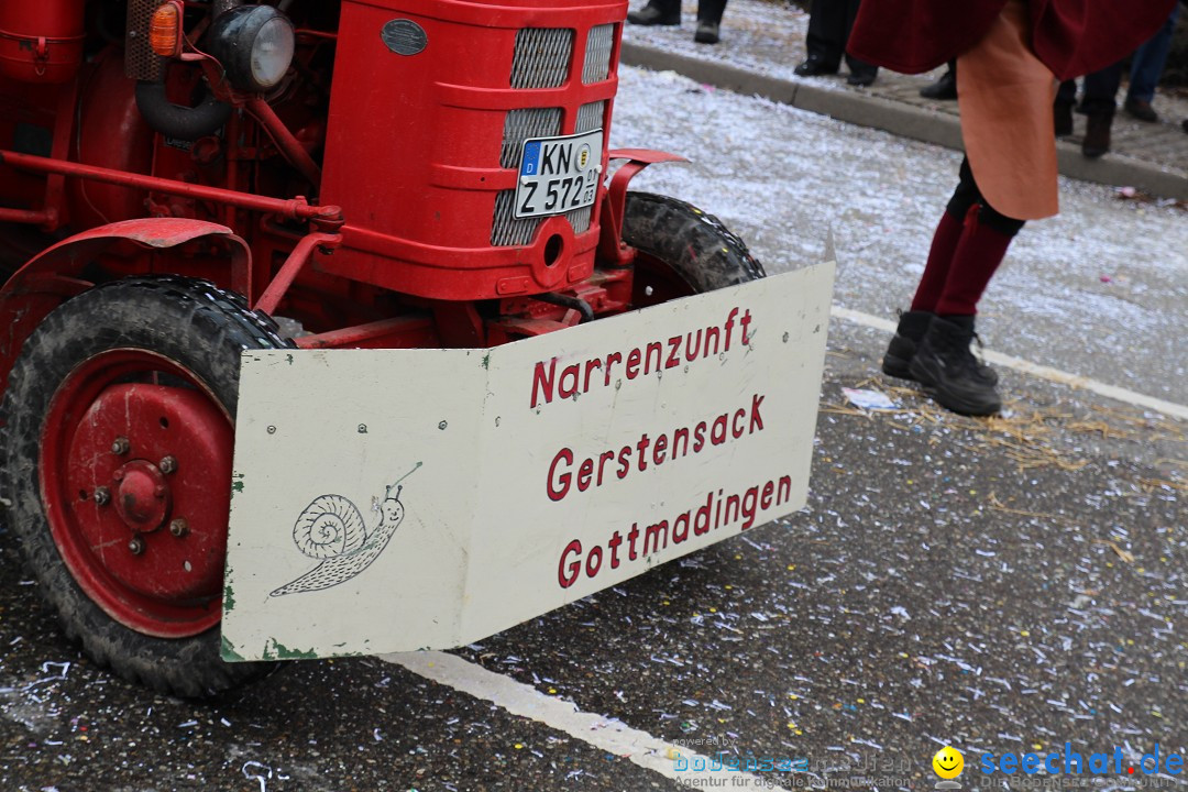 Rosenmontagsumzug: Gottmadingen am Bodensee, 11.02.2013