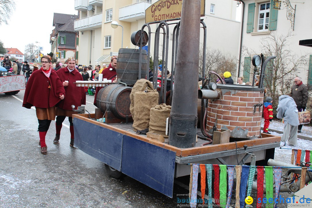 Rosenmontagsumzug: Gottmadingen am Bodensee, 11.02.2013