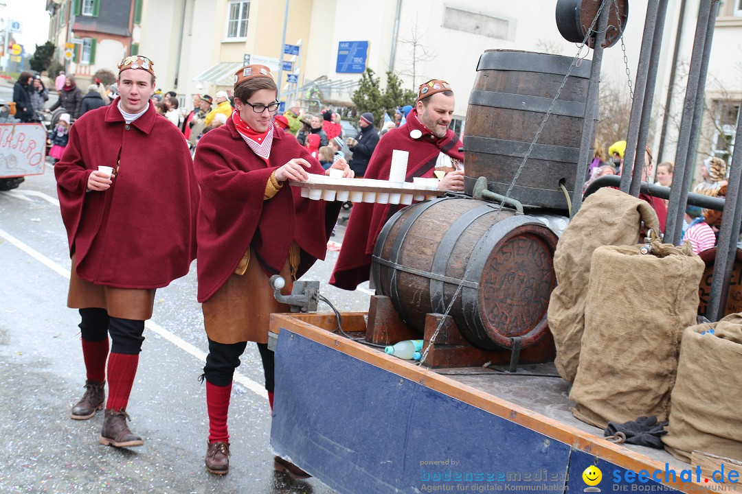 Rosenmontagsumzug: Gottmadingen am Bodensee, 11.02.2013