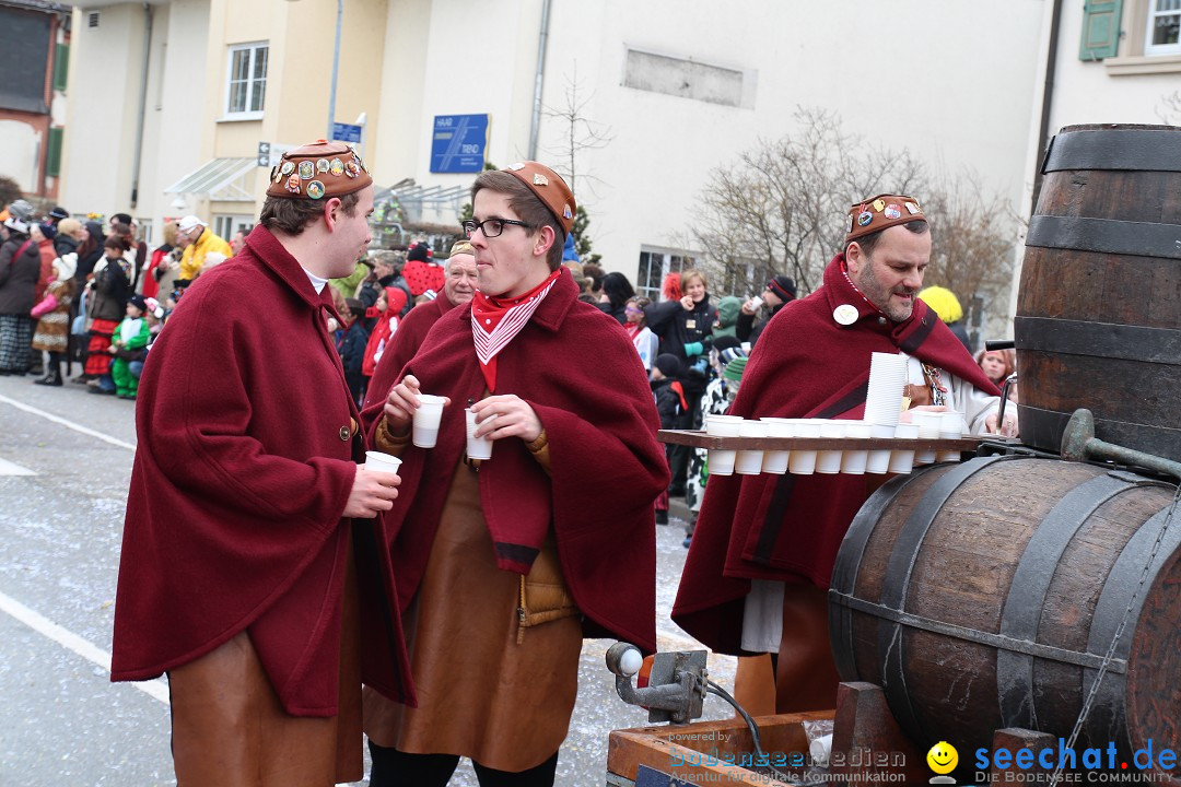 Rosenmontagsumzug: Gottmadingen am Bodensee, 11.02.2013