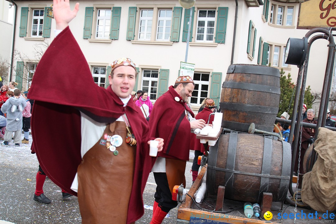 Rosenmontagsumzug: Gottmadingen am Bodensee, 11.02.2013