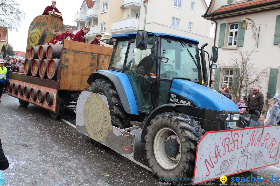 Rosenmontagsumzug: Gottmadingen am Bodensee, 11.02.2013