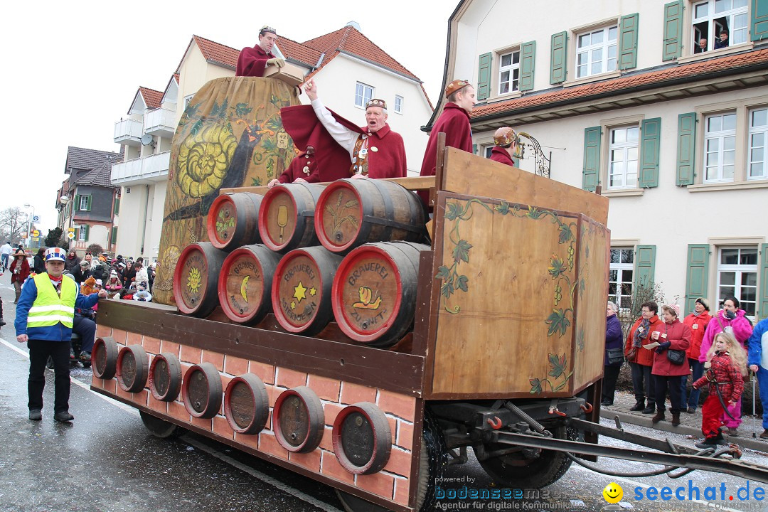 Rosenmontagsumzug: Gottmadingen am Bodensee, 11.02.2013