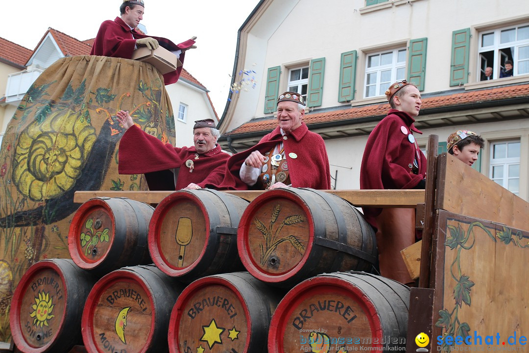 Rosenmontagsumzug: Gottmadingen am Bodensee, 11.02.2013