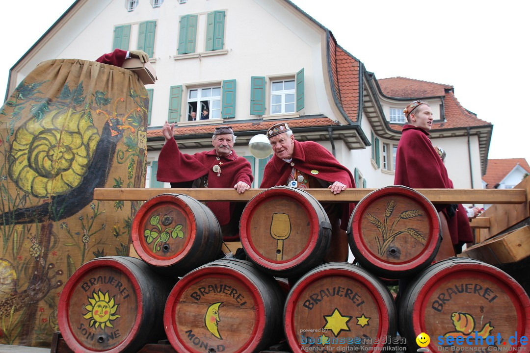 Rosenmontagsumzug: Gottmadingen am Bodensee, 11.02.2013