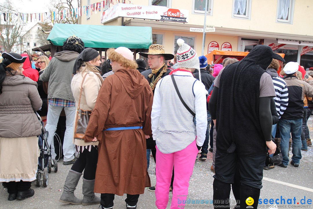 Rosenmontagsumzug: Gottmadingen am Bodensee, 11.02.2013