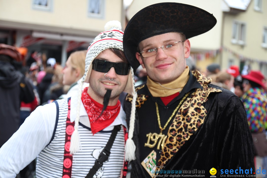 Rosenmontagsumzug: Gottmadingen am Bodensee, 11.02.2013