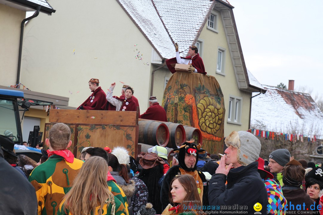 Rosenmontagsumzug: Gottmadingen am Bodensee, 11.02.2013