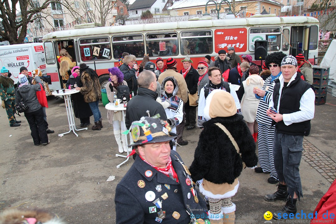 Rosenmontagsumzug: Gottmadingen am Bodensee, 11.02.2013