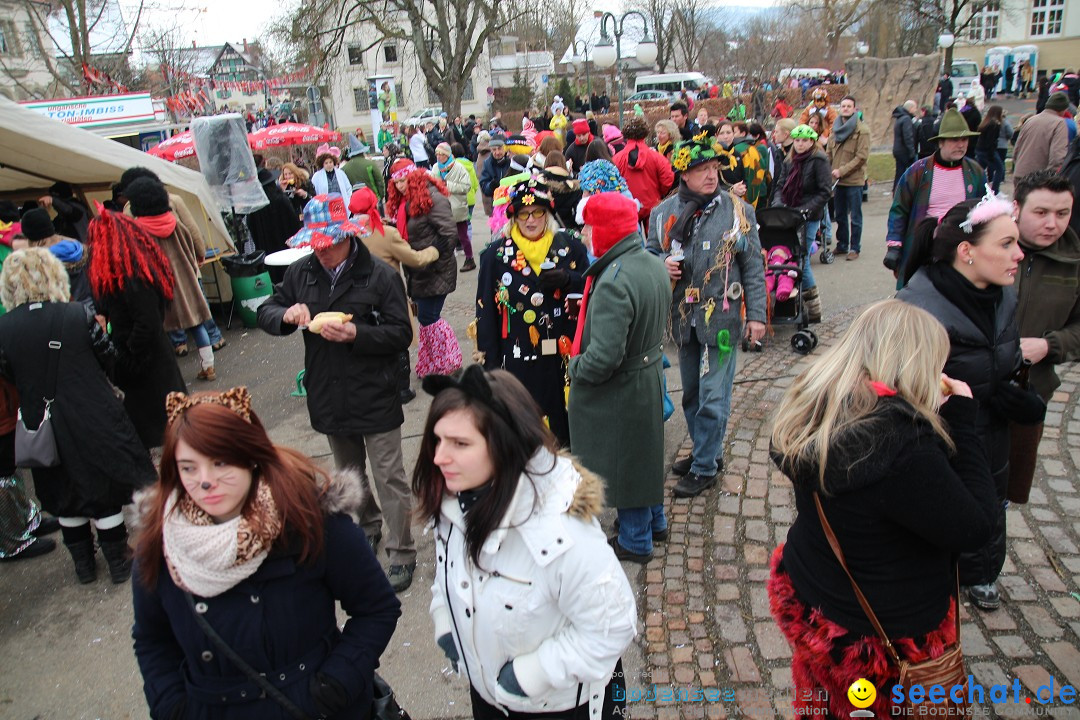 Rosenmontagsumzug: Gottmadingen am Bodensee, 11.02.2013