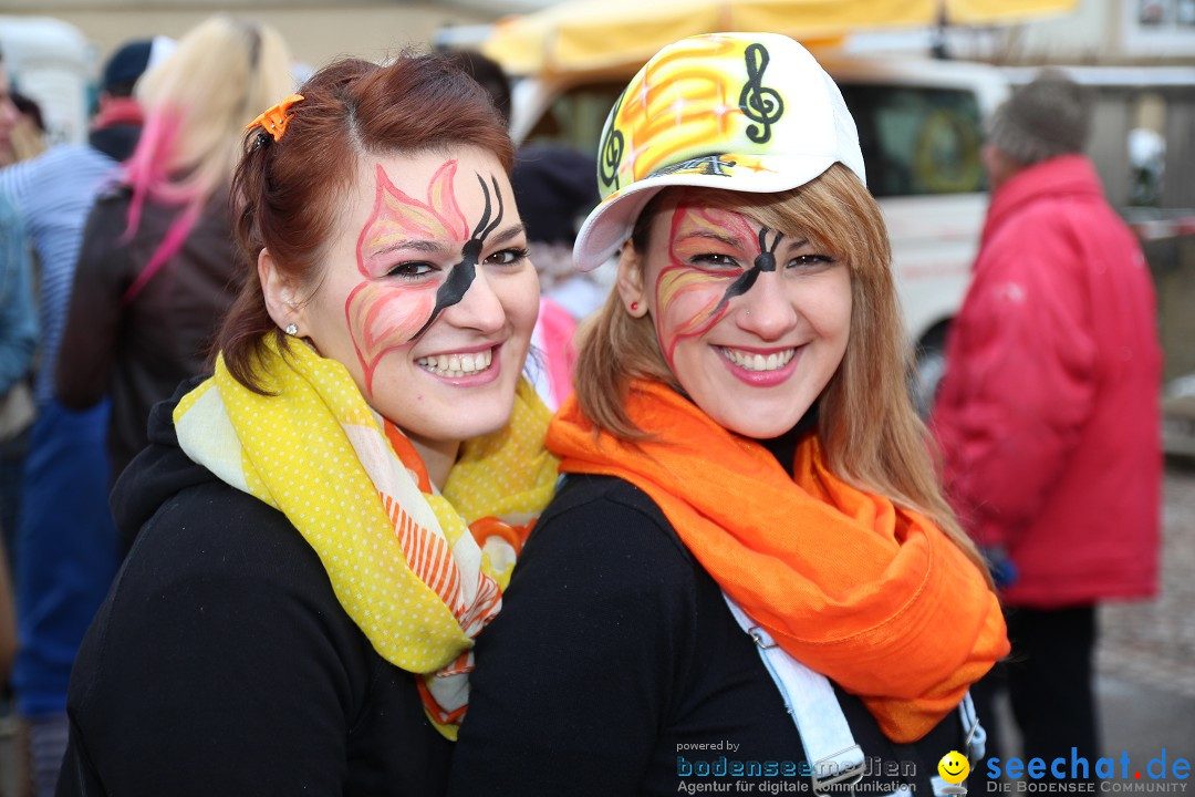 Rosenmontagsumzug: Gottmadingen am Bodensee, 11.02.2013