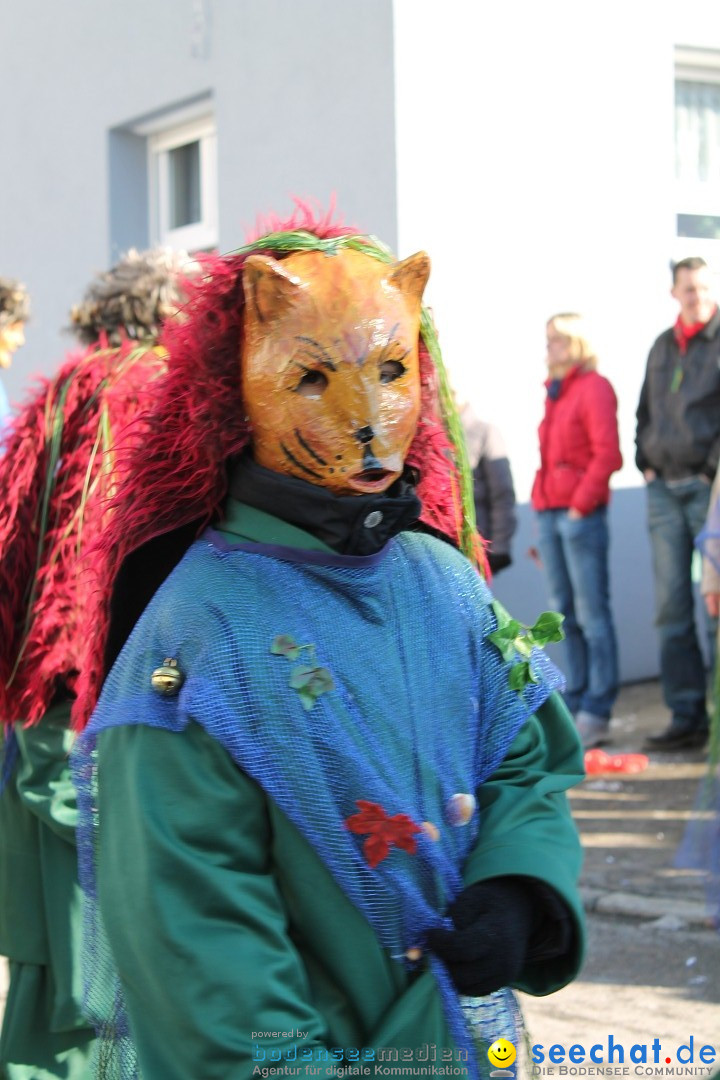 Fasnets-Umzug: Stetten am kalten Markt, 10.02.2013