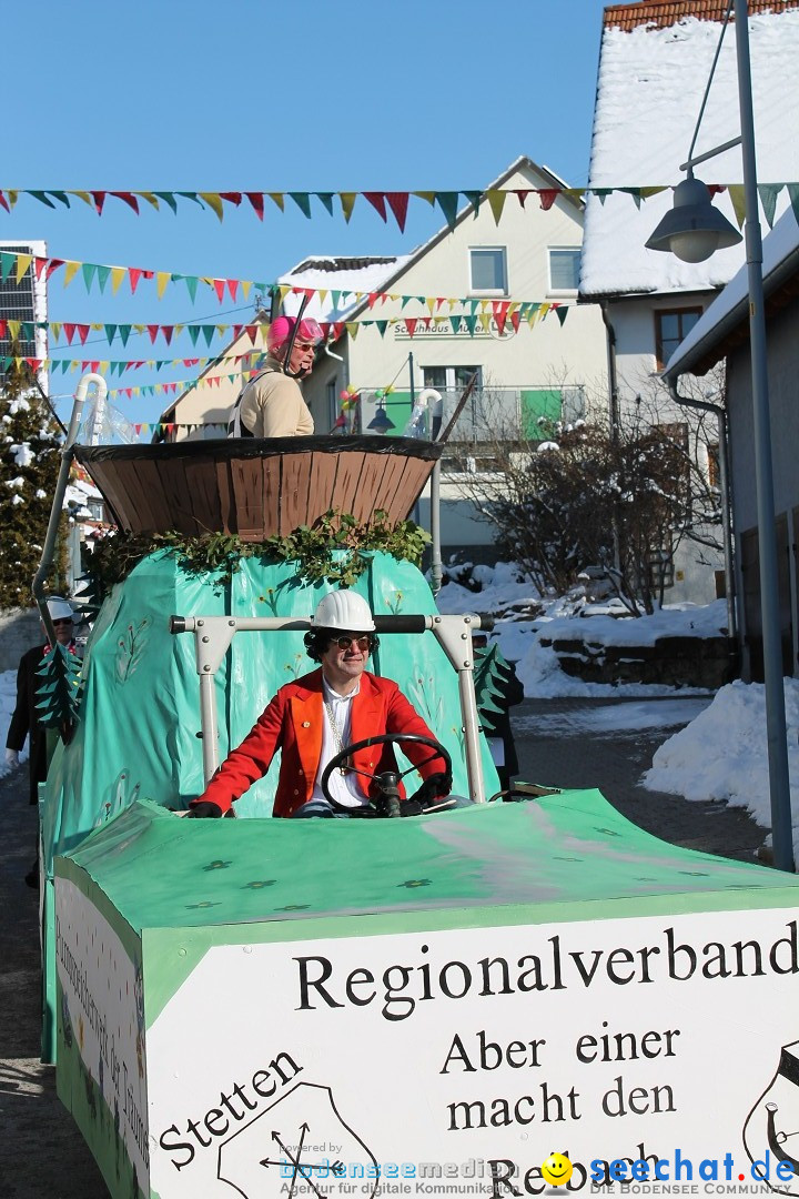 Fasnets-Umzug: Stetten am kalten Markt, 10.02.2013