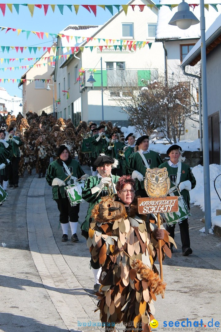 Fasnets-Umzug: Stetten am kalten Markt, 10.02.2013