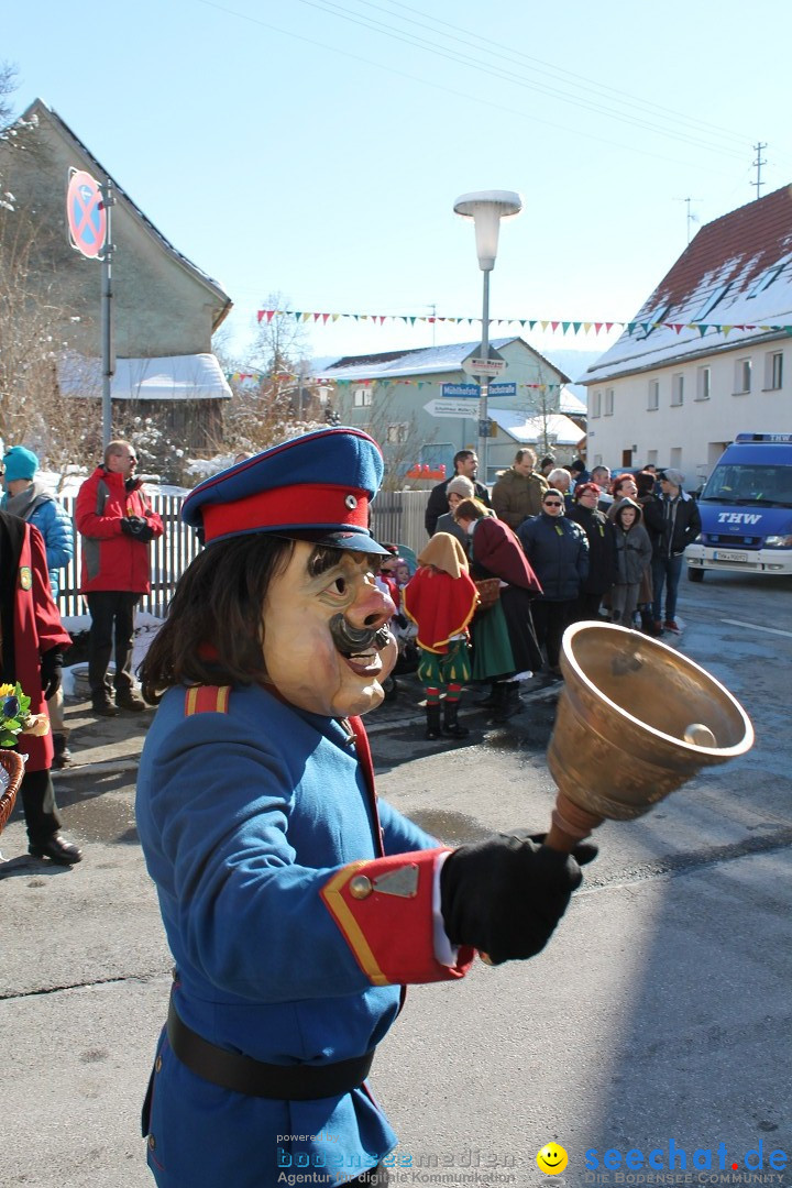 Fasnets-Umzug: Stetten am kalten Markt, 10.02.2013