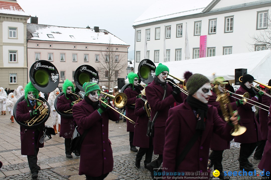 Fasnets-Umzug 2013: Hechingen, 12.02.2013