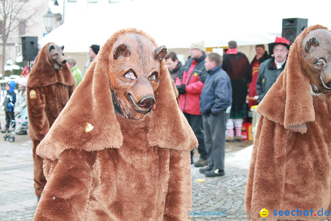 Fasnets-Umzug 2013: Hechingen, 12.02.2013