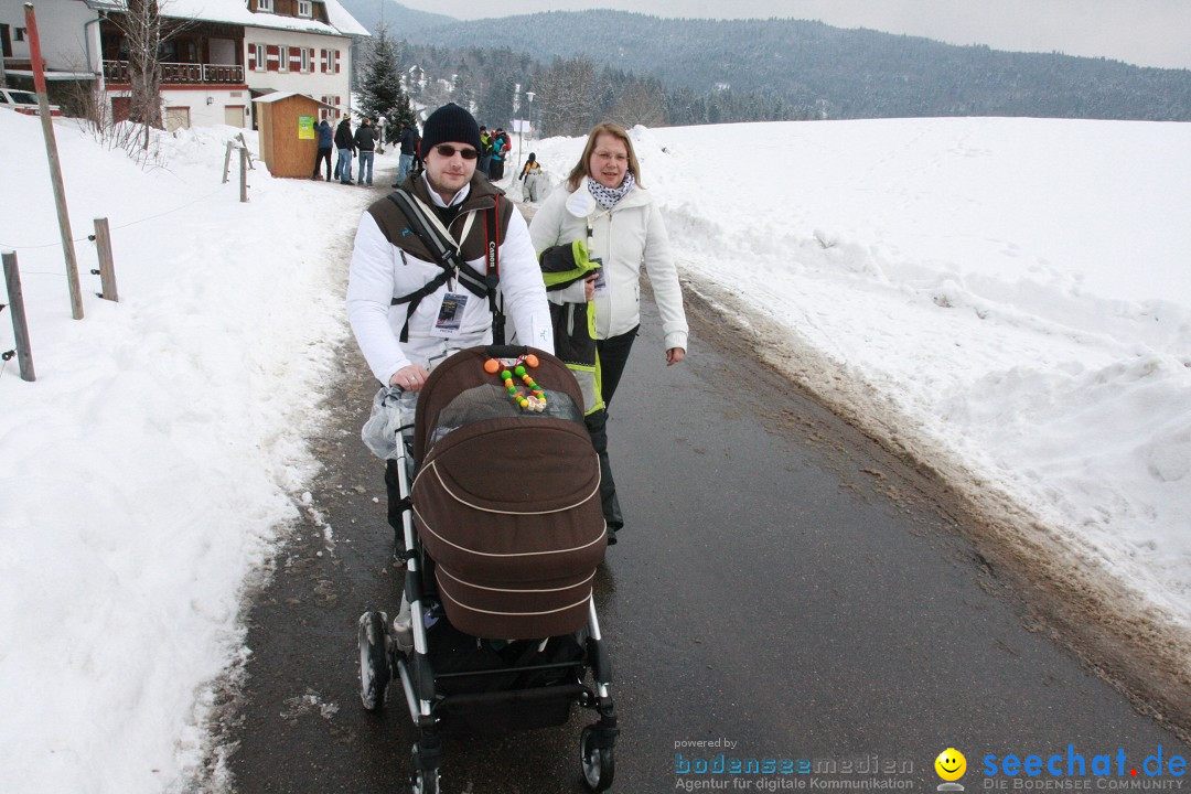 Schlittenhunderennen: Todtmoos im Schwarzwald, 24.02.2013