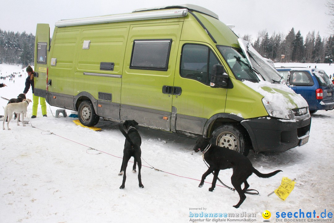 Schlittenhunderennen: Todtmoos im Schwarzwald, 24.02.2013