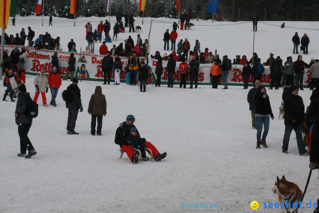 Schlittenhunderennen: Todtmoos im Schwarzwald, 24.02.2013