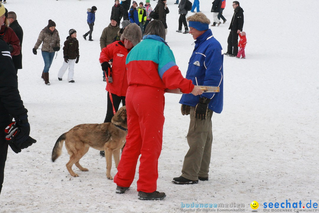 Schlittenhunderennen: Todtmoos im Schwarzwald, 24.02.2013