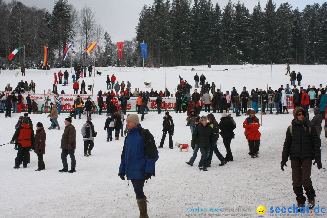 Schlittenhunderennen: Todtmoos im Schwarzwald, 24.02.2013