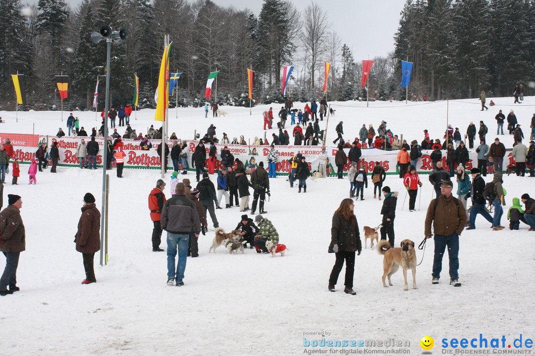 Schlittenhunderennen: Todtmoos im Schwarzwald, 24.02.2013