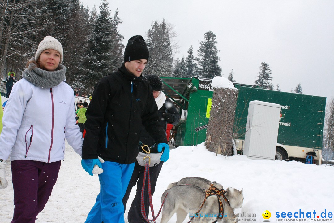 Schlittenhunderennen: Todtmoos im Schwarzwald, 24.02.2013