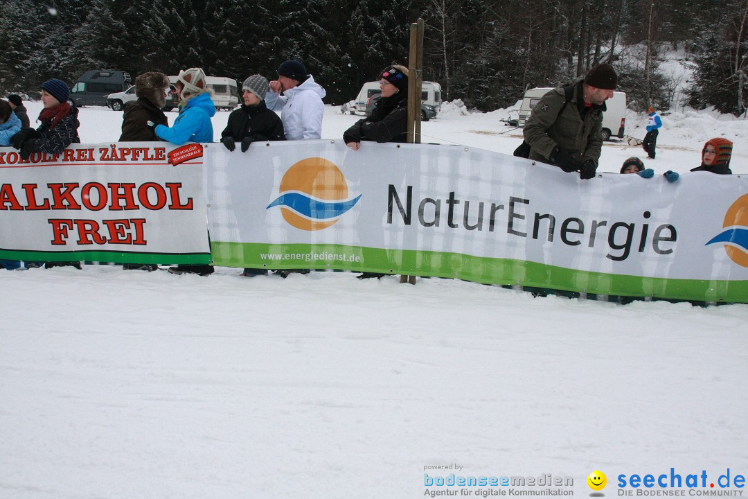 Schlittenhunderennen: Todtmoos im Schwarzwald, 24.02.2013