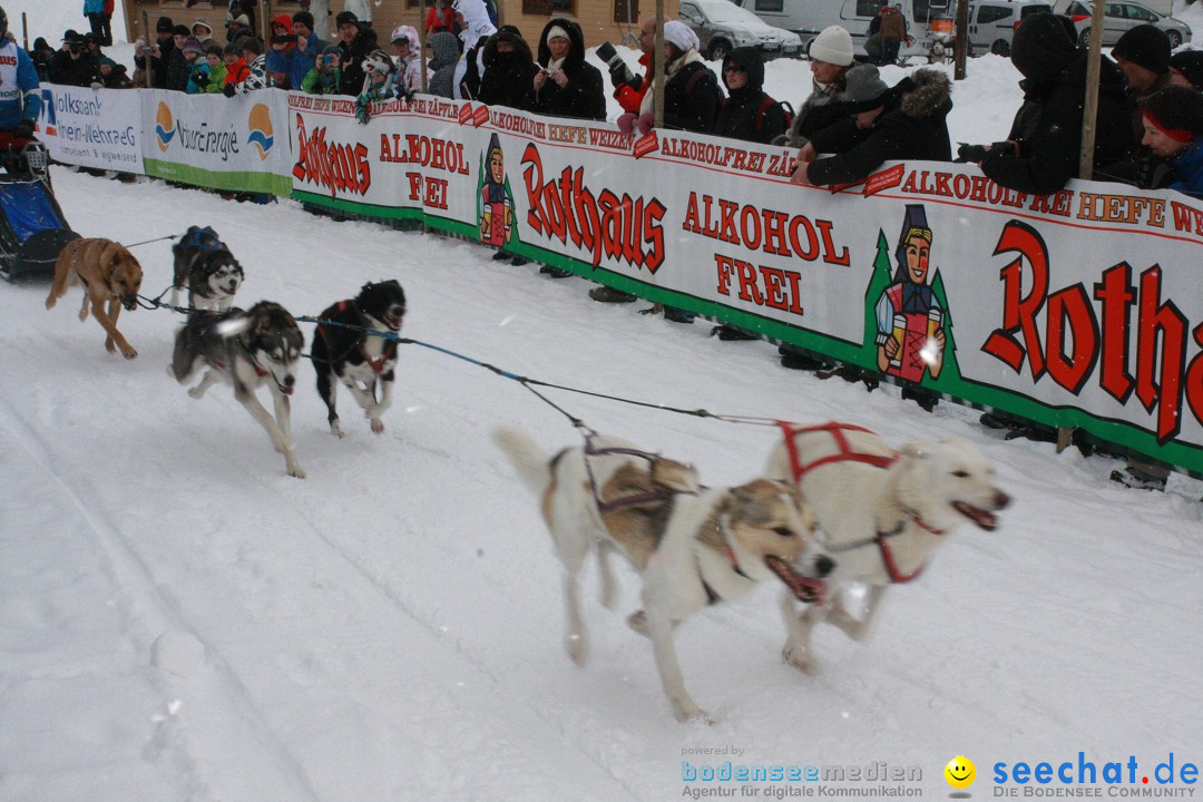 Schlittenhunderennen: Todtmoos im Schwarzwald, 24.02.2013