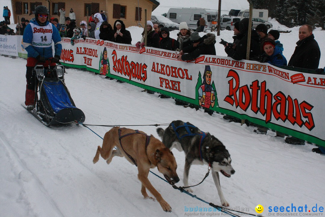 Schlittenhunderennen: Todtmoos im Schwarzwald, 24.02.2013