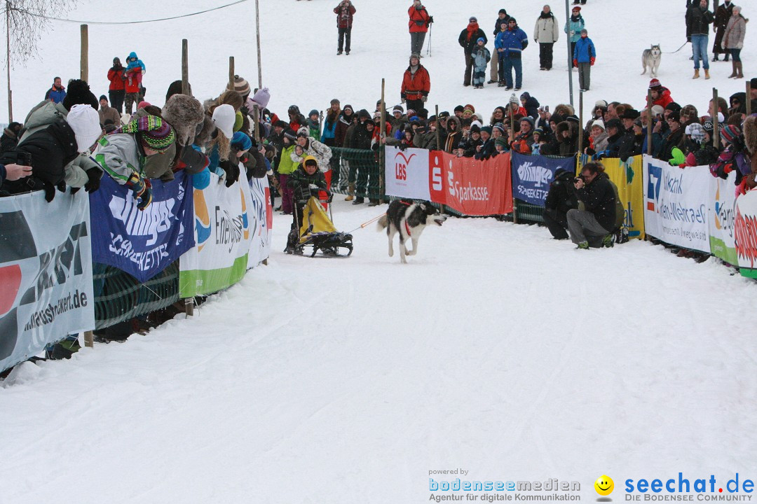 Schlittenhunderennen: Todtmoos im Schwarzwald, 24.02.2013