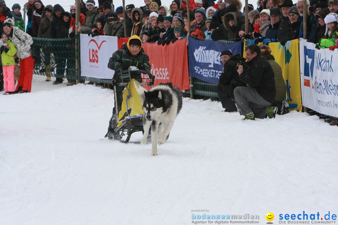 Schlittenhunderennen: Todtmoos im Schwarzwald, 24.02.2013