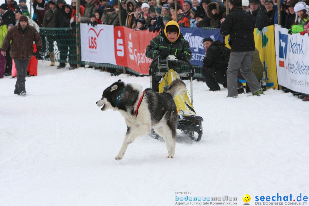 Schlittenhunderennen: Todtmoos im Schwarzwald, 24.02.2013