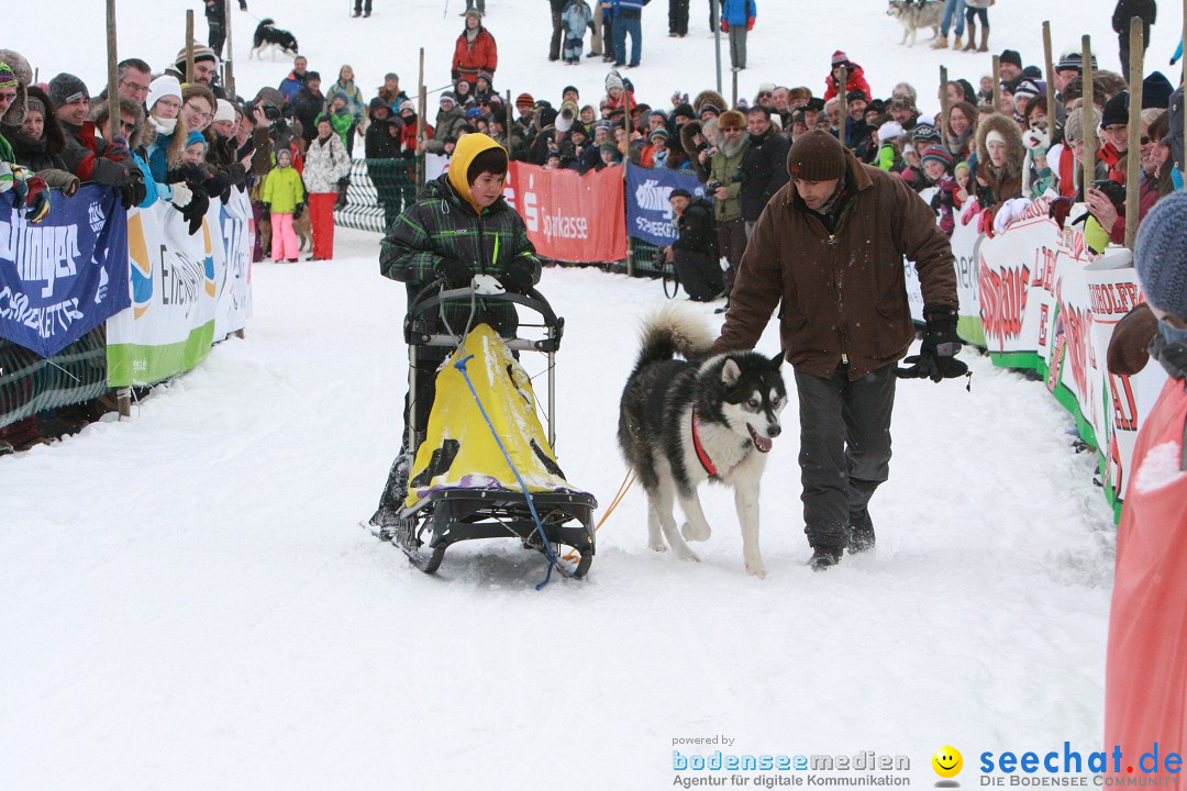 Schlittenhunderennen: Todtmoos im Schwarzwald, 24.02.2013