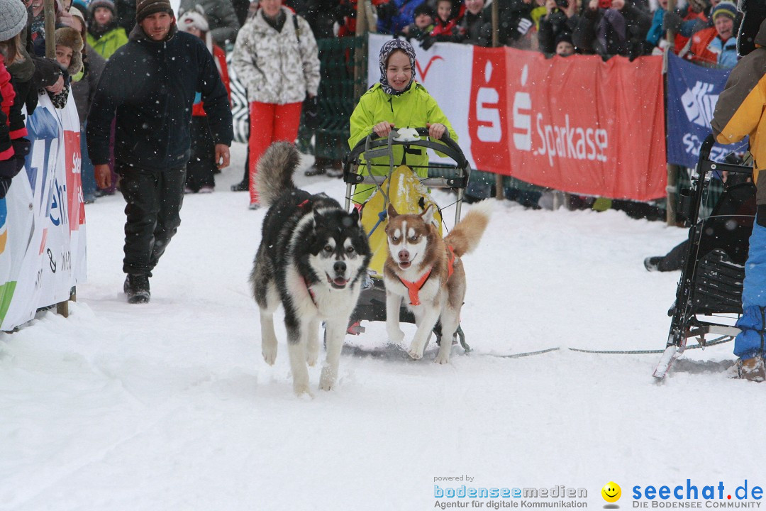 Schlittenhunderennen: Todtmoos im Schwarzwald, 24.02.2013