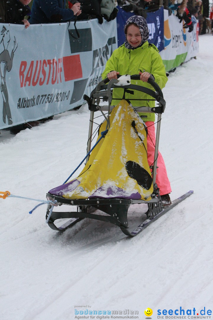 Schlittenhunderennen: Todtmoos im Schwarzwald, 24.02.2013