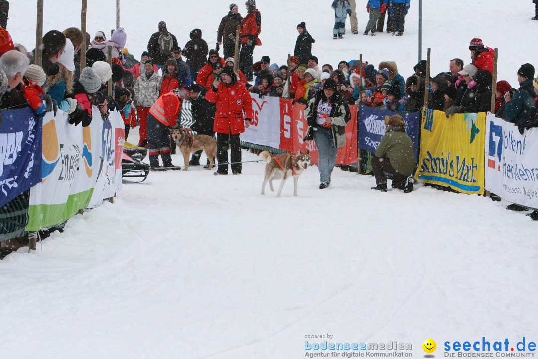 Schlittenhunderennen: Todtmoos im Schwarzwald, 24.02.2013