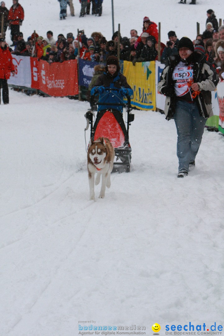 Schlittenhunderennen: Todtmoos im Schwarzwald, 24.02.2013