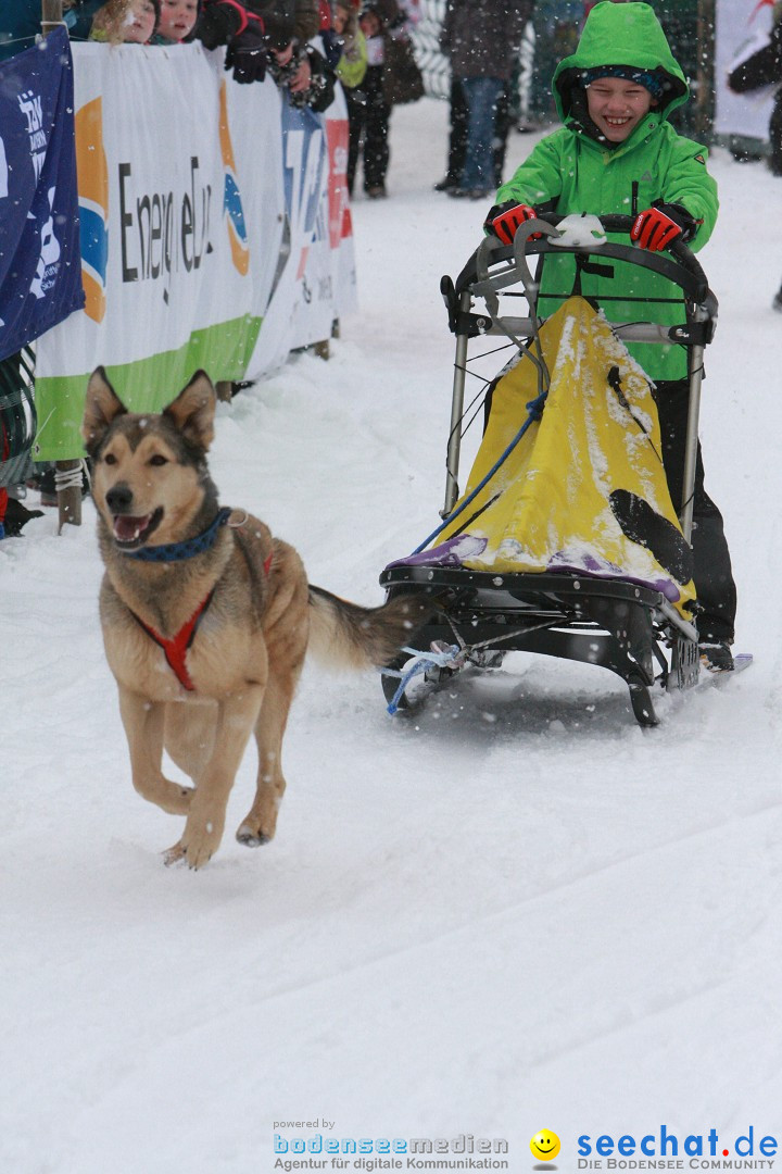 Schlittenhunderennen: Todtmoos im Schwarzwald, 24.02.2013