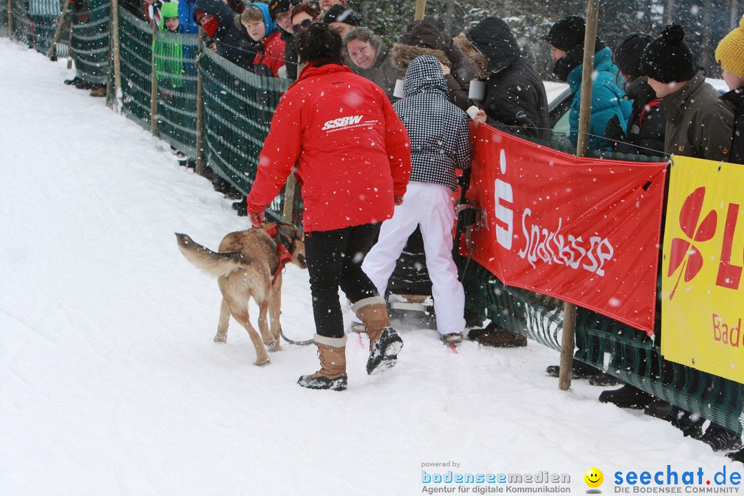 Schlittenhunderennen: Todtmoos im Schwarzwald, 24.02.2013