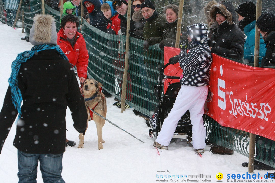 Schlittenhunderennen: Todtmoos im Schwarzwald, 24.02.2013