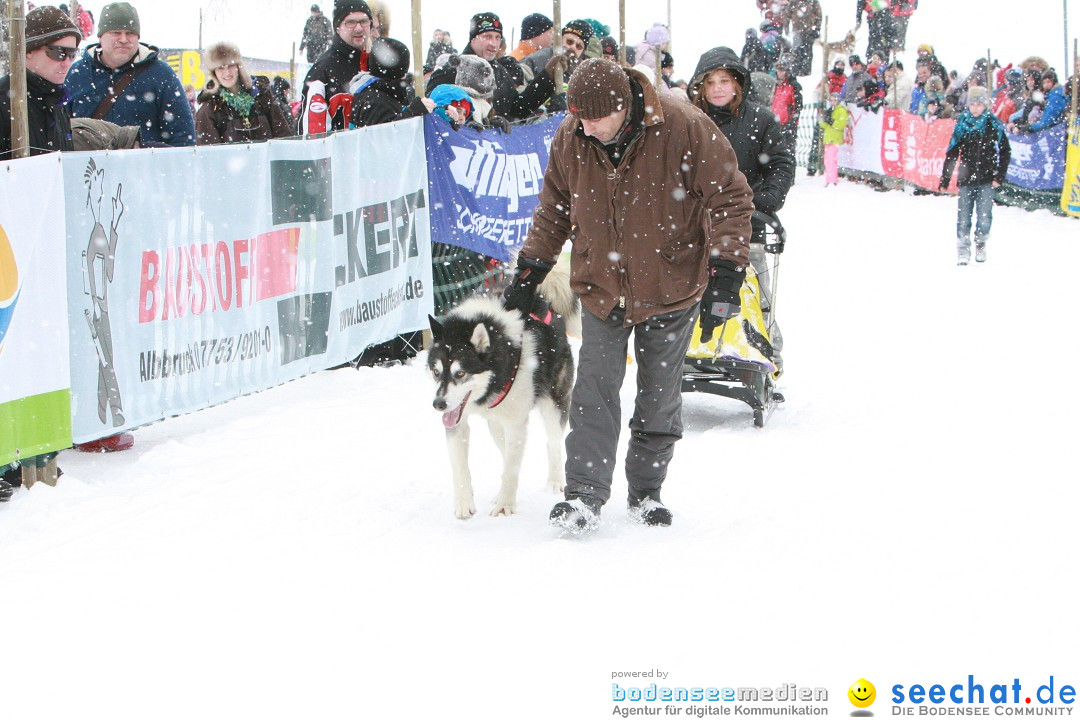 Schlittenhunderennen: Todtmoos im Schwarzwald, 24.02.2013