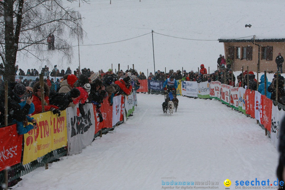 Schlittenhunderennen: Todtmoos im Schwarzwald, 24.02.2013