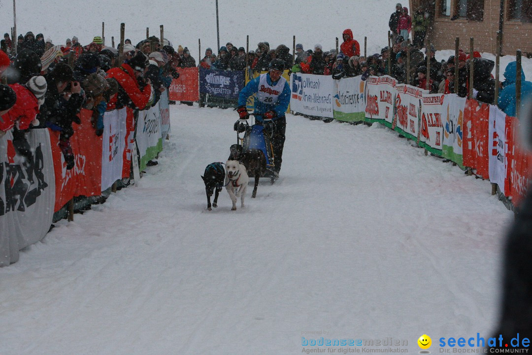 Schlittenhunderennen: Todtmoos im Schwarzwald, 24.02.2013