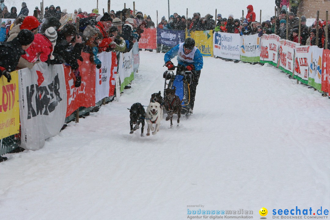 Schlittenhunderennen: Todtmoos im Schwarzwald, 24.02.2013