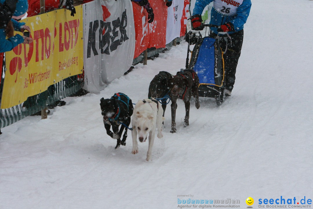 Schlittenhunderennen: Todtmoos im Schwarzwald, 24.02.2013